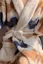 Women's Plush Bathrobe